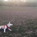 Ana Kasparian Instagram – A lot of what I love in one video.