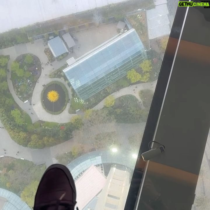 Ana La Salvia - 862 Likes - Maravilloso #spaceneedle en #seattle š„°