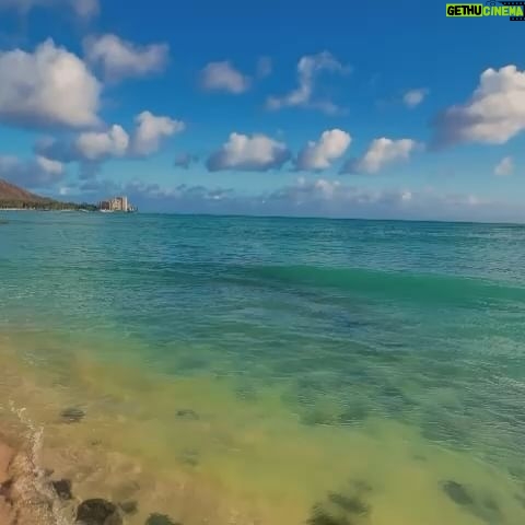 Ana La Salvia - 8.7K Likes - #honolulu #hawaii #beach