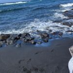 Ana La Salvia Instagram - 🥰 #Punaluʻu Beach #hawaii #blacksandbeachiceland