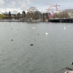 Ana La Salvia Instagram - Espectacular lugar Zurich!!!🥰 #zurich #family #swan
