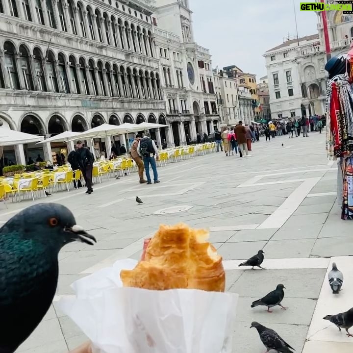 Ana La Salvia - 786 Likes - Maravilloso Venecia š„°š#venice #plazasanmarcos #familia