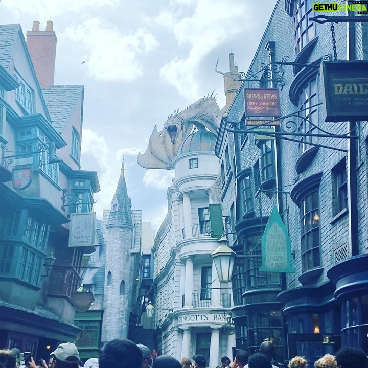 Ana La Salvia - 759 Likes - Where dreams come true!! #disneyworld #harrypotter #volcanobaywaterpark #florida #family