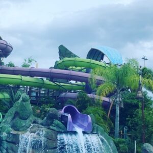 Ana La Salvia Instagram - Where dreams come true!! #disneyworld #harrypotter #volcanobaywaterpark #florida #family