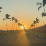 Ana La Salvia Instagram - #honolulu #hawaii #beach