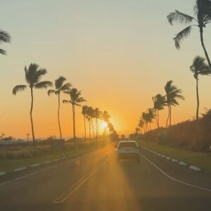 Ana La Salvia Instagram - #honolulu #hawaii #beach