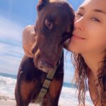 Ana Pauls Instagram - Adios Maxi! Conocerte y convivir con vos fue maravilloso. Gracias por ser tan buen amigo. Gracias por adoptarme como tu humana y darme tanto amor. Por tu hermosa compañía en momentos de soledad. Gracias a vos la Bendi está hoy acá porque bien sabemos que sos lo que más me gustó del padre. Vamos a extrañarte mucho. Voy a extrañar tu inteligencia y ternura. Voy a extrañar nuestra rutina y todas las veces al día que me sacabas a pasear. Un honor haber compartido la vida con vos. Gracias totales compañero Te amo por siempre 💗