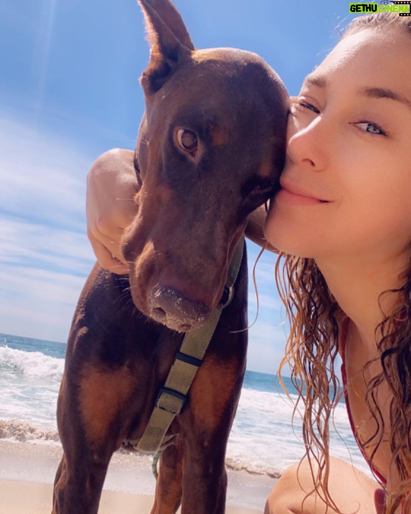 Ana Pauls - 8K Likes - Adios Maxi!
Conocerte y convivir con vos fue maravilloso. Gracias por ser tan buen amigo. Gracias por adoptarme como tu humana y darme tanto amor. Por tu hermosa compañía en momentos de soledad. Gracias a vos la Bendi está hoy acá porque bien sabemos que sos lo que más me gustó del padre. Vamos a extrañarte mucho. Voy a extrañar tu inteligencia y ternura. Voy a extrañar nuestra rutina y todas las veces al día que me sacabas a pasear.
Un honor haber compartido la vida con vos.
Gracias totales compañero
Te amo por siempre 💗