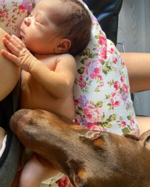 Ana Pauls Instagram - Adios Maxi! 
Conocerte y convivir con vos fue maravilloso. Gracias por ser tan buen amigo. Gracias por adoptarme como tu humana y darme tanto amor. Por tu hermosa compañía en momentos de soledad. Gracias a vos la Bendi está hoy acá porque bien sabemos que sos lo que más me gustó del padre. Vamos a extrañarte mucho. Voy a extrañar tu inteligencia y ternura. Voy a extrañar nuestra rutina y todas las veces al día que me sacabas a pasear. 
Un honor haber compartido la vida con vos. 
Gracias totales compañero 
Te amo por siempre 💗