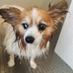 Ana Polvorosa Instagram -
