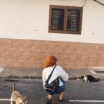 Ana Polvorosa Instagram -