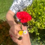 Ana Rita Clara Instagram - 𝙑𝙞𝙫𝙖 𝙖 𝙇𝙞𝙗𝙚𝙧𝙙𝙖𝙙𝙚🌹 Desde cedo a explicar ao Caetano o que representa o dia de hoje. O que foi o 25 de Abril e a celebração actual dos seus 50 Anos. O que é podermos hoje dizer e fazer o que queremos, o que foi a censura na altura e a limitação social e individual, o que tantos sofreram para que pudéssemos hoje viver em democracia. O que foi a revolução dos cravos (sem uma única gota de sangue derramada) e o seu poder no mundo. Falar sobre o que é Ser Livre, ter Liberdade (respeitando o outro naturalmente), mas sobretudo ter coragem e ar para voar até onde quisermos. E termos Amor à Liberdade. E fomos para a rua, para esta “Festa da Liberdade”. Foi lindo ver tantas pessoas, famílias, crianças, portugueses e não só, unidos na celebração desta Paz e Liberdade. E que nunca nos esqueçamos de ter voz. E sabermos que os nossos filhos são o futuro do País e do Mundo. 25 de Abril. Sempre. • • #ARC #AmoràLiberdade #25deAbril #50Anos