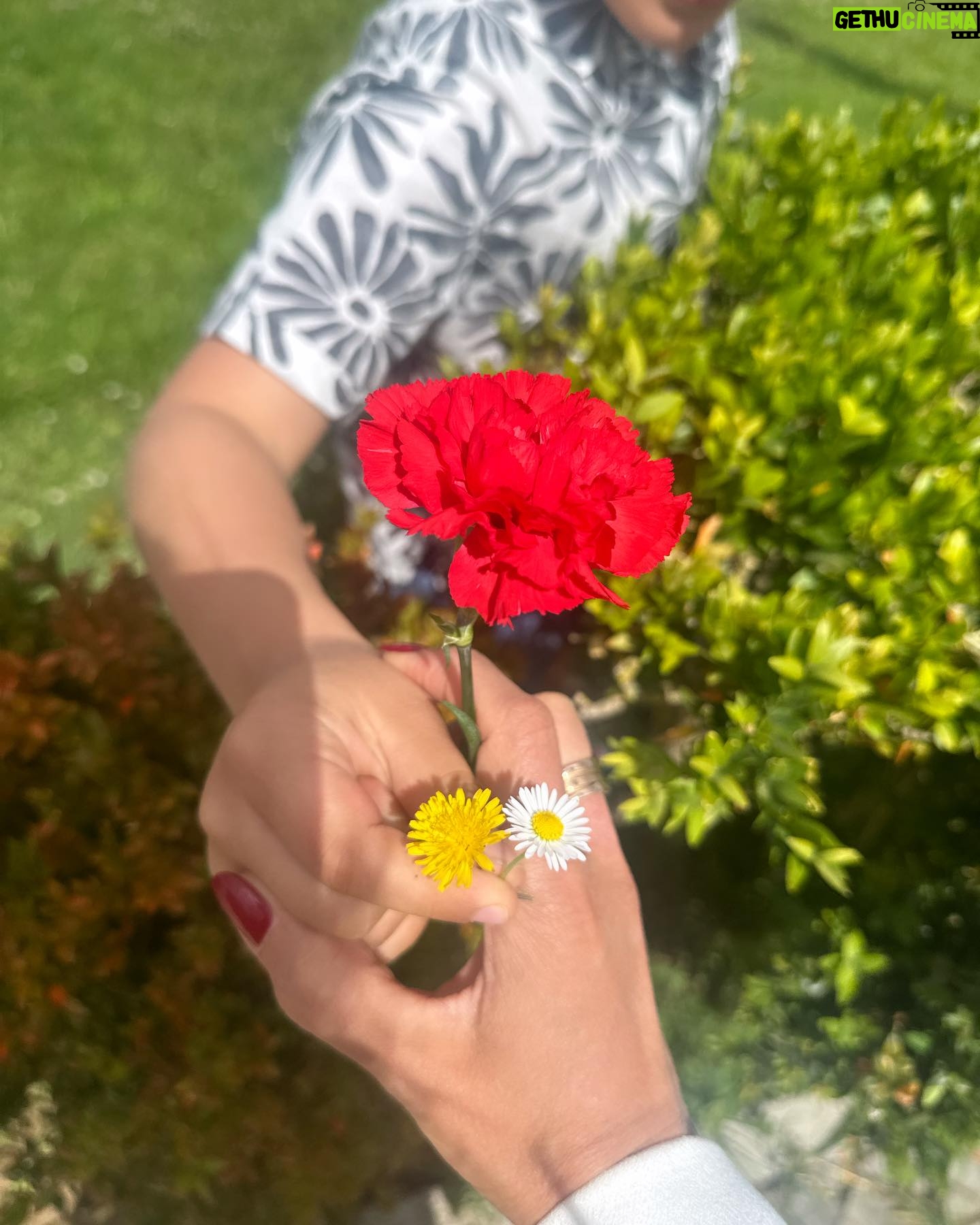 Ana Rita Clara Instagram - 𝙑𝙞𝙫𝙖 𝙖 𝙇𝙞𝙗𝙚𝙧𝙙𝙖𝙙𝙚🌹 Desde cedo a explicar ao Caetano o que representa o dia de hoje. O que foi o 25 de Abril e a celebração actual dos seus 50 Anos. O que é podermos hoje dizer e fazer o que queremos, o que foi a censura na altura e a limitação social e individual, o que tantos sofreram para que pudéssemos hoje viver em democracia. O que foi a revolução dos cravos (sem uma única gota de sangue derramada) e o seu poder no mundo. Falar sobre o que é Ser Livre, ter Liberdade (respeitando o outro naturalmente), mas sobretudo ter coragem e ar para voar até onde quisermos. E termos Amor à Liberdade. E fomos para a rua, para esta “Festa da Liberdade”. Foi lindo ver tantas pessoas, famílias, crianças, portugueses e não só, unidos na celebração desta Paz e Liberdade. E que nunca nos esqueçamos de ter voz. E sabermos que os nossos filhos são o futuro do País e do Mundo. 25 de Abril. Sempre. • • #ARC #AmoràLiberdade #25deAbril #50Anos