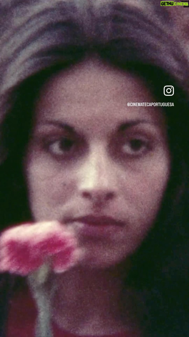 Ana Rita Clara Instagram - 𝟱𝟬 𝗔𝗻𝗼𝘀 𝟮𝟱 𝗱𝗲 𝗔𝗯𝗿𝗶𝗹🌹 Estas imagens fazem-nos recuar no tempo, até ao Dia do nosso País. Sou filha deste dia, em que se reclamaram e obtiveram direitos, depois de tanta dor, sofrimento e censura. Privações que não aceitamos hoje em dia, na realidade em que nasci, mas que foi luta de tantas almas corajosas. Homens e mulheres altruístas, que foram presos, torturados e perseguidos para que hoje todos os portugueses tenham a leveza de dizer e fazer o que querem, em liberdade e democracia. Nada nunca será perfeito e a luta será contínua, mas esta revolução dos cravos, sem qualquer derrame de sangue é única no Mundo. E só podemos defender esta causa e nunca mais sermos alvo de ditadura ou castração. Viva o 25 de Abril. Hoje e Sempre.🌹 “Esta é a madrugada que eu esperava O dia inicial inteiro e limpo Onde emergimos da noite e do silêncio E livres habitamos a substância do tempo.” Sophia de Mello Breyner Andresen In “O Nome das Coisas” #ARC #50Anos #25deAbril #HojeeSempre #Liberdade #Democracia