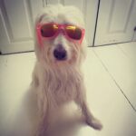 Anabel Alonso Instagram - Berta ya está preparada para salir a la calle.😎