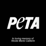Anabelle Acosta Instagram - Been trying to post this campaign since yesterday. Couldn’t find the words. It was hard shooting this campaign & these videos without breaking down. I LOVE u Nicole. I will miss u the rest of my life. Thank u for inspiring me to be a better human. For continuing to educate me. U dedicated ur life to animals in every way. I hope this makes u proud. Thank u @peta & @officialpetalatino for allowing me to honor the memory of my cousin & at the same time raise my voice for these gentle defenseless creatures, the planet & talk about all the amazing benefits of leading a #veganlife ❤️🌱🐇