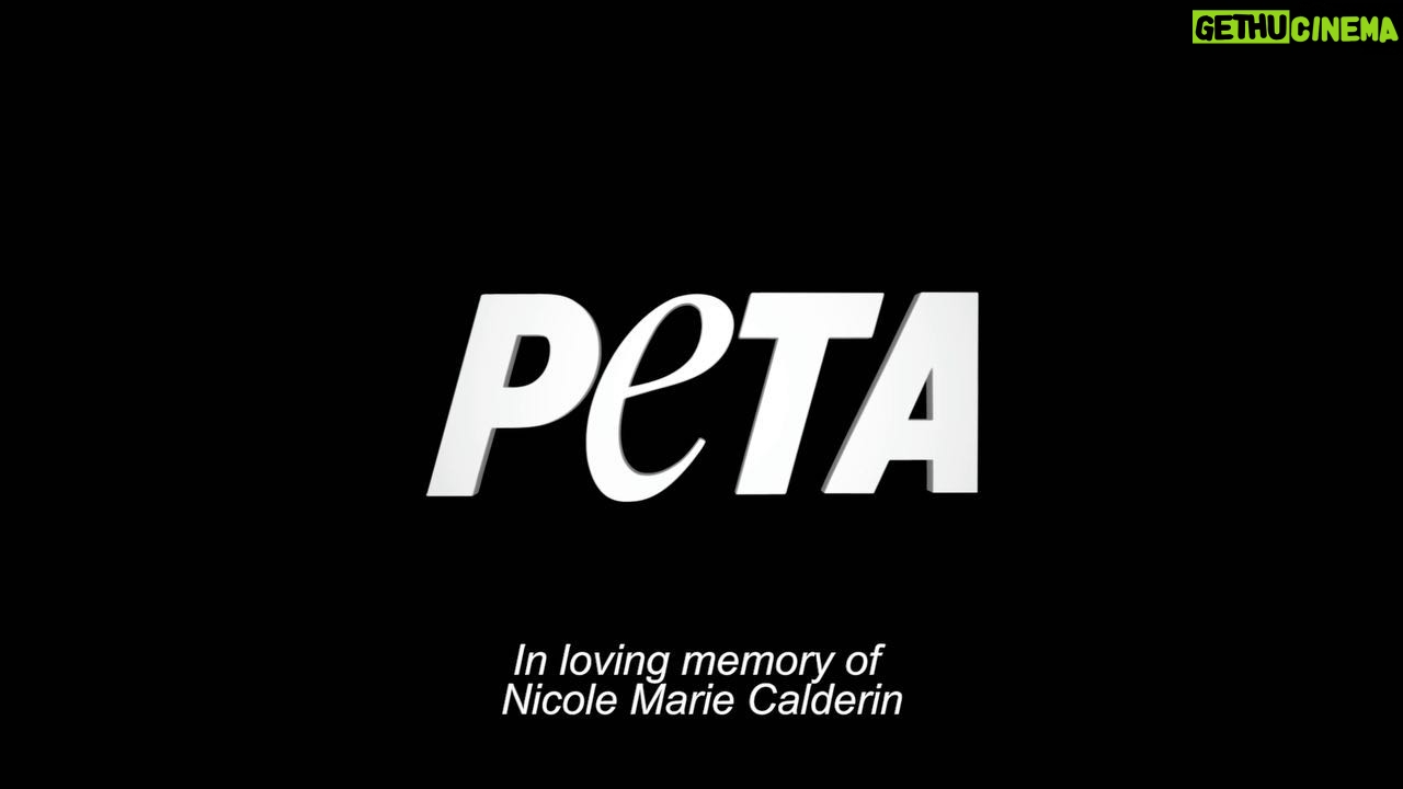 Anabelle Acosta - 665 Likes - Been trying to post this campaign since yesterday. Couldn’t find the words. It was hard shooting this campaign & these videos without breaking down. I LOVE u Nicole. I will miss u the rest of my life. Thank u for inspiring me to be a better human. For continuing to educate me. U dedicated ur life to animals in every way. I hope this makes u proud. Thank u @peta & @officialpetalatino for allowing me to honor the memory of my cousin & at the same time raise my voice for these gentle defenseless creatures, the planet & talk about all the amazing benefits of leading a #veganlife ❤️🌱🐇