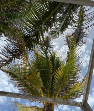 Anabelle Acosta Instagram - 🌴 🥥 | #TulumDiaries