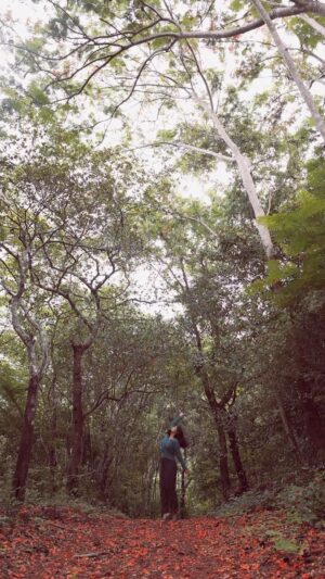 Anagha Narayanan Instagram - Feeling at one with nature🌿
.
.
.
.
.
.
.
.
.
.
.
.
.
.#reelsinstagram #reels #reelsvideo #nature #travel #home #love