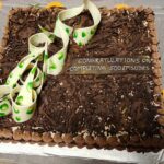Ananya Dash Instagram – 500 Episode Celebration 🎊🎉