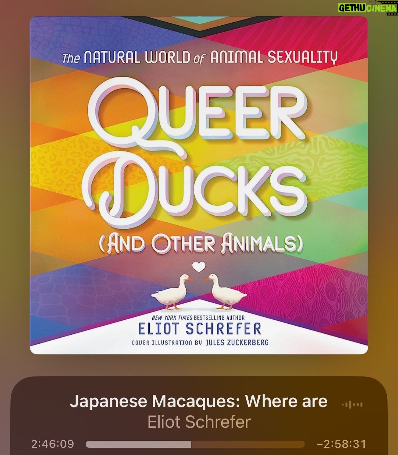 Anastasia Baranova Instagram - If you are a person, you need to get this book immediately. Itβs under 5 hours, I finished it in a sitting while crafting. As it turns out, the natural world is queer as can be! π π§ πΈ π¦ Also, all of our varied instincts and tendencies around intimacy and partnership are natural. Animal behavior is assumed to be heterosexual because we project our narrow, ill informed, heteronormative understanding of the world on to them but turns out, a bunch of the time the animals are the same sex, performing homosexual acts. How about that. Also worth noting, that being bi is a superior evolutionary advantage and pleasure is purposeful for more than reproduction. Most importantly perhaps, is the irrefutable evidence that the natural world has very few binaries, operates almost entirely on a spectrum, and is naturally queer π
