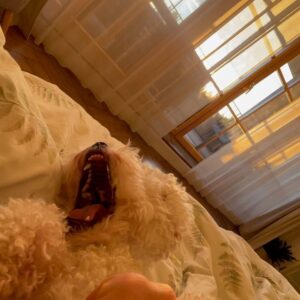 Anastasiia Korotka Instagram - А знаете Что  я сделаю,
когда это все закончится?

Я нажарю Ксене 
своих горелых сырников на своей кухне!
На своей ,вечно подгорающей сковородке,и это будут самые вкусные сырники в нашей жизни!

А потом я разрешу Буфе насцать на ковёр и с огромным удовольствием буду тащить его в химчистку!
А потом я пожарю самые сухие и не вкусные котлеты, на которые я только способна, и Андрюша будет три раза просить добавки!

А потом я позову друзей и мы сделаем самые ,как всегда ,не удачные фото!
И не будем их удалять, а сразу выставим и будем смеяться ! 
Мы будем много смеяться !!

Я больше не буду жаловаться на погоду,сухость волос,и лишние кг!
Мне теперь нравится слякоть и пекло и затянутая зима,и Новый год без снега.
Мне теперь даже нравится карантин,и маски ,мне теперь нравится вся моя жизнь ,и все люди которые в ней есть!