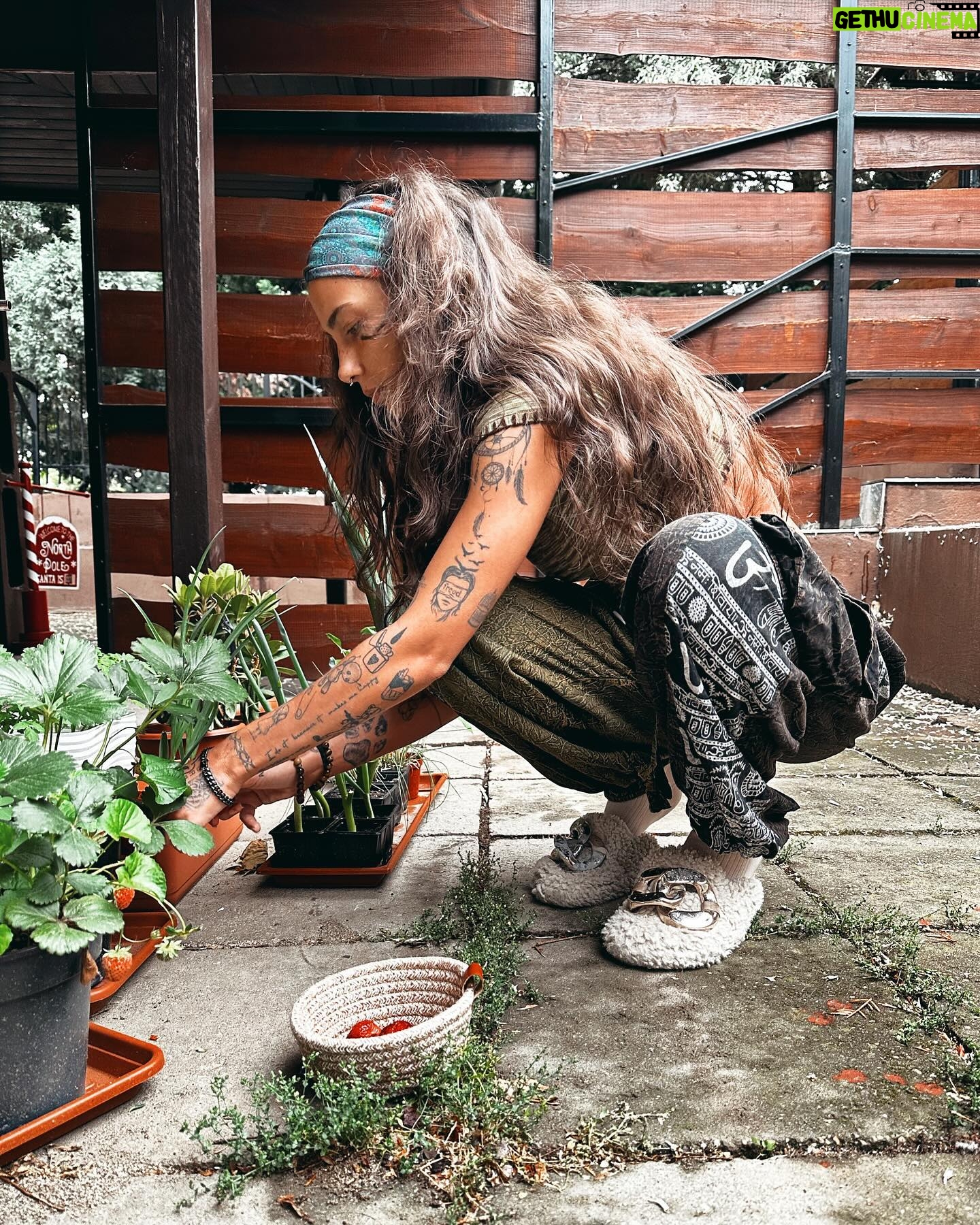 Andi Tóth Instagram - Rég posztoltam bocsánaat, de új hobbiba kezdtem🥹 Sosem voltam nagy növényes, most viszont időt szakítottam a “kertészkedésre” és nagyon büszke vagyok minden kis gyümölcsre, zöldségre, levélre, új hajtásra vagy virágra🪴🌺 Gondoltam megosztom veletek életem első saját eper szüretelését🍓🤤 Természetesen rengeteg dolgot elrontok még, de tanulok belőle, újra kezdem és türelmesen várok🧘🏽♀️ Mindez pedig nem sikerülhetne a nálam még türelmesebb tanácsadóim segítsége nélkül hahaha @toth.magdolna1971 @mrs.krisztina.kiss 🥹🪴🖤 Thankyoou🥰 #gardenlove #strawberry #gardening #fruits #vegetables #plants #plantlife #gardenlife