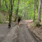 Andi Tóth Instagram - 🌳🪵🐺 #nature #rottweiler