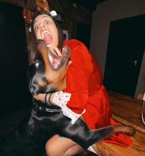Andi Tóth Instagram - LAPOZZ A KUTYÁÉRT🐺🎅🏽
Baileyvel már felkészültünk a Karácsonyra😭😍🎄✨
.
Ha még nem vagy felkészülve akkor a @beliani_magyarorszag -nál ANDI15 kuponkóddal kezd el🥹✨ IMÁDOM EZT A FAASZTALT😭 #christmas #beliani #rottweiler #reklam