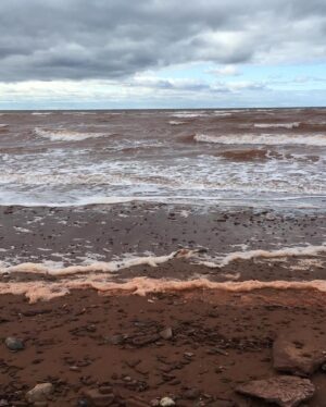 Andrea Bang Instagram - This film took me to PEI. Aka. your next 🇨🇦 destination! It’s freaking BEAUTIFUL, full of wonderful people and you can drive from one end to the other by lunch! Go why don’t ya! Make your next film there! Check out this movie! 

For up to date info and trailer you can go to the Facebook page: facebook.com/asmall fortunemovie 🐎