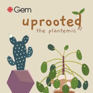 Andrea Bang Instagram - @uprootedshow is now available to stream on @cbcgem! It’s an animated series about houseplants surviving the pandemic with us. 🪴

Had the privilege of working with @xiebetty on her fun and adorable project! An absolute treat! Starring the super talented @francowins @rosalina.h.lee @bauzilla 

They also have a giveaway! Check out @uprootedshow for more info. #plantemicpal