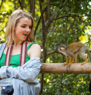Andrea Boehlke Instagram - January: stayed off of IG for a full month (highly recommend, 10/10 experience), did some monkeying around in Florida, went to the Everglades for the first time and decided I like alligators. I took the last three photos, that baby gator is a lottttttt 😩 
📸 @troyzan