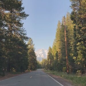 Andrea Bordeaux Instagram - Thousands of you have found your way to my little corner of social media this past week and I want to thank you for being here.🥹 Here’s a bit that you should know about me if you plan to stick around.

I’m an actress, writer, energy healer, and an intuitive spiritual guide.

I’m currently living full time in my converted school bus that I travel the country in.

The majority of my content is focused on uplifting, teaching, and empowering Women through the spiritual and healing arts.

I speak very honestly and directly about my perspectives and I’m not afraid to ruffle feathers or completely piss people off. My favorite comments are when people tell me they’re disappointed in me.

Good.

I’m not here to be who you think I should be, I’m here to be exactly who I am and this is the sentiment that shows up heavily in the embodiment work I do with Women.

I attract Women who are natural born leaders, guides, and healers, but fear or suppress their power due to the social conditioning that teaches powerful Women to shrink themselves for the comfort of others.

I teach you to stand unapologetically in your power.

I’m passionate about sharing my knowledge of the Divine nature of Women, and how the subversion of the natural system of Matriarchy by the false patriarchal death cult is the root of all suffering around the world.

I am here to assist in the return of Divine Feminine consciousness and embodiment.

I honor the Dark Feminine through my willingness to venture into the unknown, shine a light on what is hidden, and support Women in bravely feeling and experiencing the full totality
of what it means to be a Woman.

I am driven by passion, pleasure, and power. Never power over others, but the power that you cultivate within when you remember that you are a Divine Creatrix and take radical responsibility for the life you are living and co-creating with Goddess.

In Human Design, I am a 2/4 Emotional Projector and it’s in my literal mechanics to share my wisdom and guide the energy of others.

If you want to feel empowered, uplifted, and fully supported in being exactly who are you meant to be, you’ve found the right place.

Welcome!

Continued in the comments👇🏾