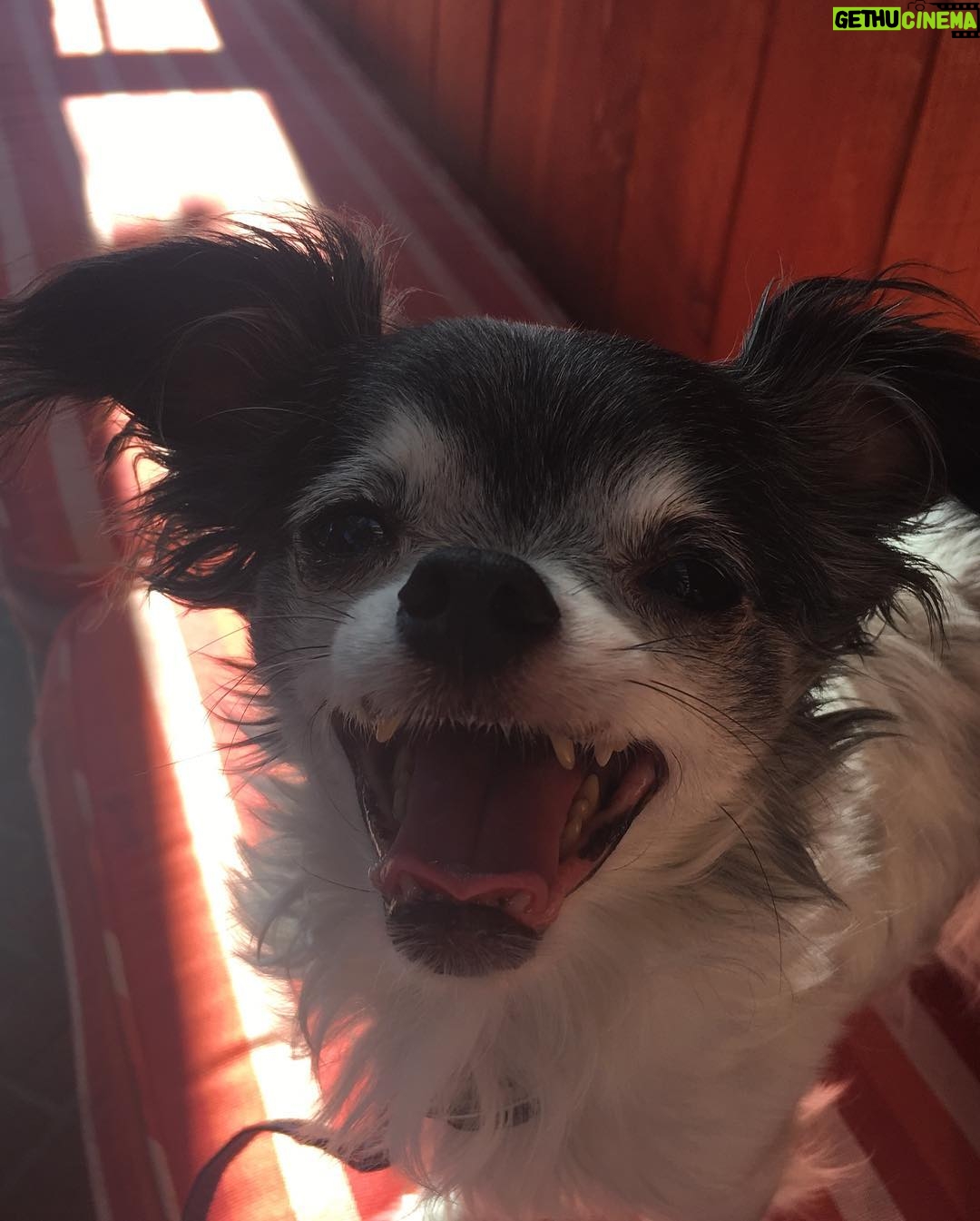 Andrea Bowen - 3.1K Likes - It’s my best friend’s birthday! It’s been 9 years of bliss, buddy.