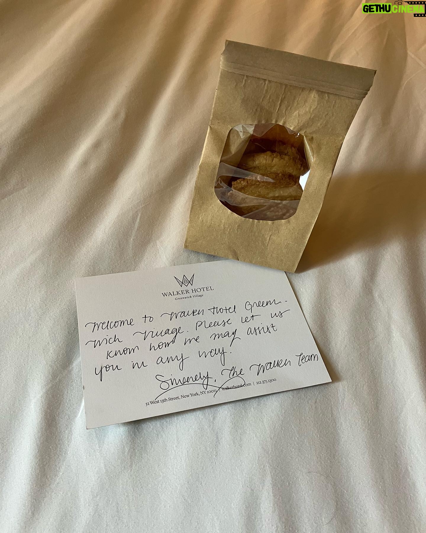 Andrea Bowen - 2.6K Likes - Whenever I go back home to NYC, I always stay with family or friends but this trip we stayed at @walkerhotels in Greenwich Village and lemmetellyou it was fabulous. Felt like a tourist and a v. chic New Yorker all at once. 😍😍😍 #walkerhotelgreenwichvillage
