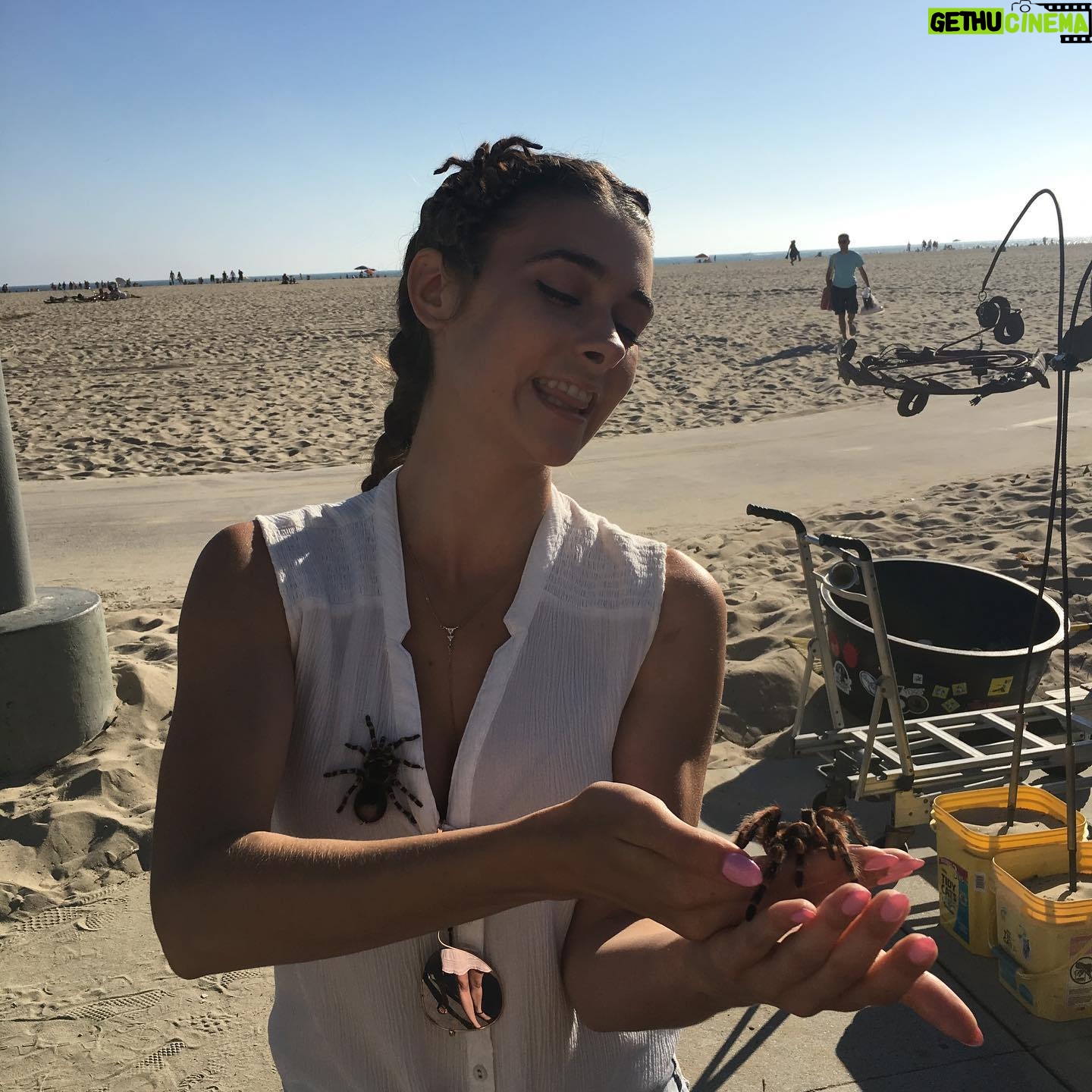 Andrea Bowen - 3K Likes - Happy birthday to @allisonpaigen. I’ll keep it simple and just say that while it has never been hard to celebrate all of the things that make you the unique and glorious person you are, you only make it easier to do so with each passing year and I only grow prouder and prouder to be your friend.
No one loves a series of photos more than @allisonpaigen so here is a collection of pictures from over the years ending with a priceless one of us as lil’ 21 year olds taken with an actual camera.