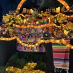 Andrea Londo Instagram - Día de los Muertos 💀🌼🕯️🦋