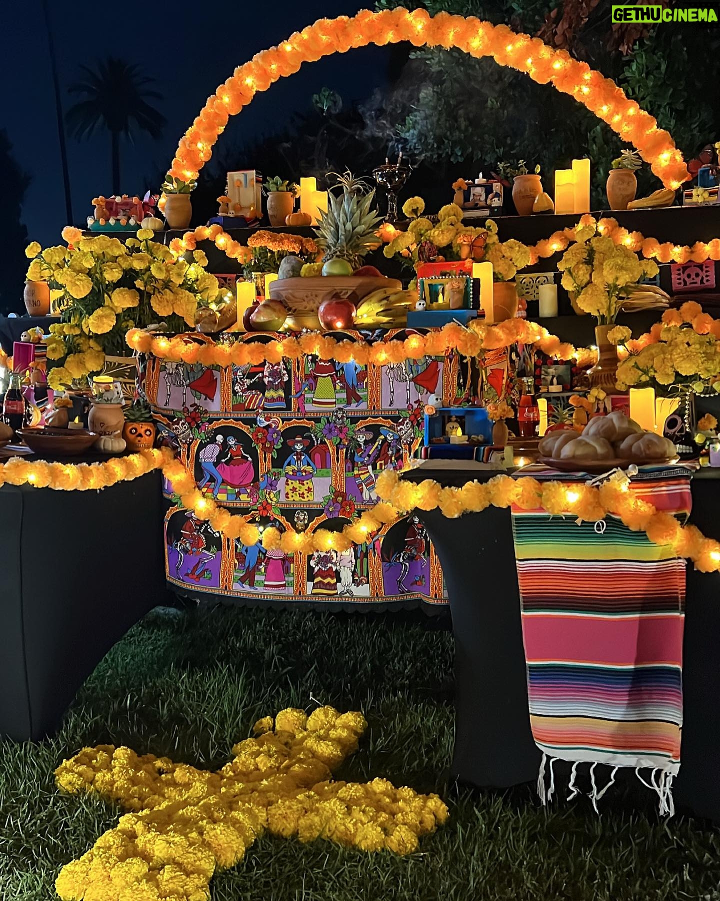 Andrea Londo Instagram - Día de los Muertos 💀🌼🕯️🦋
