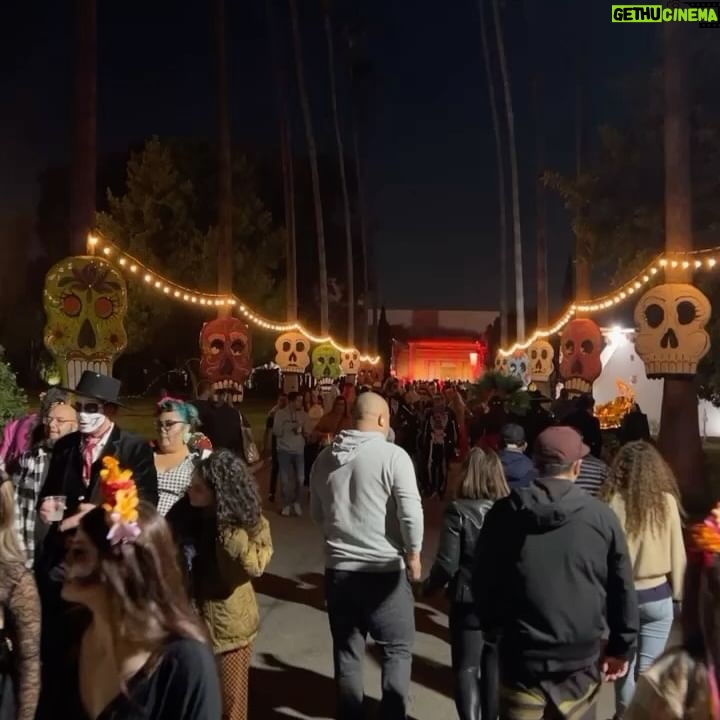 Andrea Londo Instagram - Día de los Muertos 💀🌼🕯️🦋