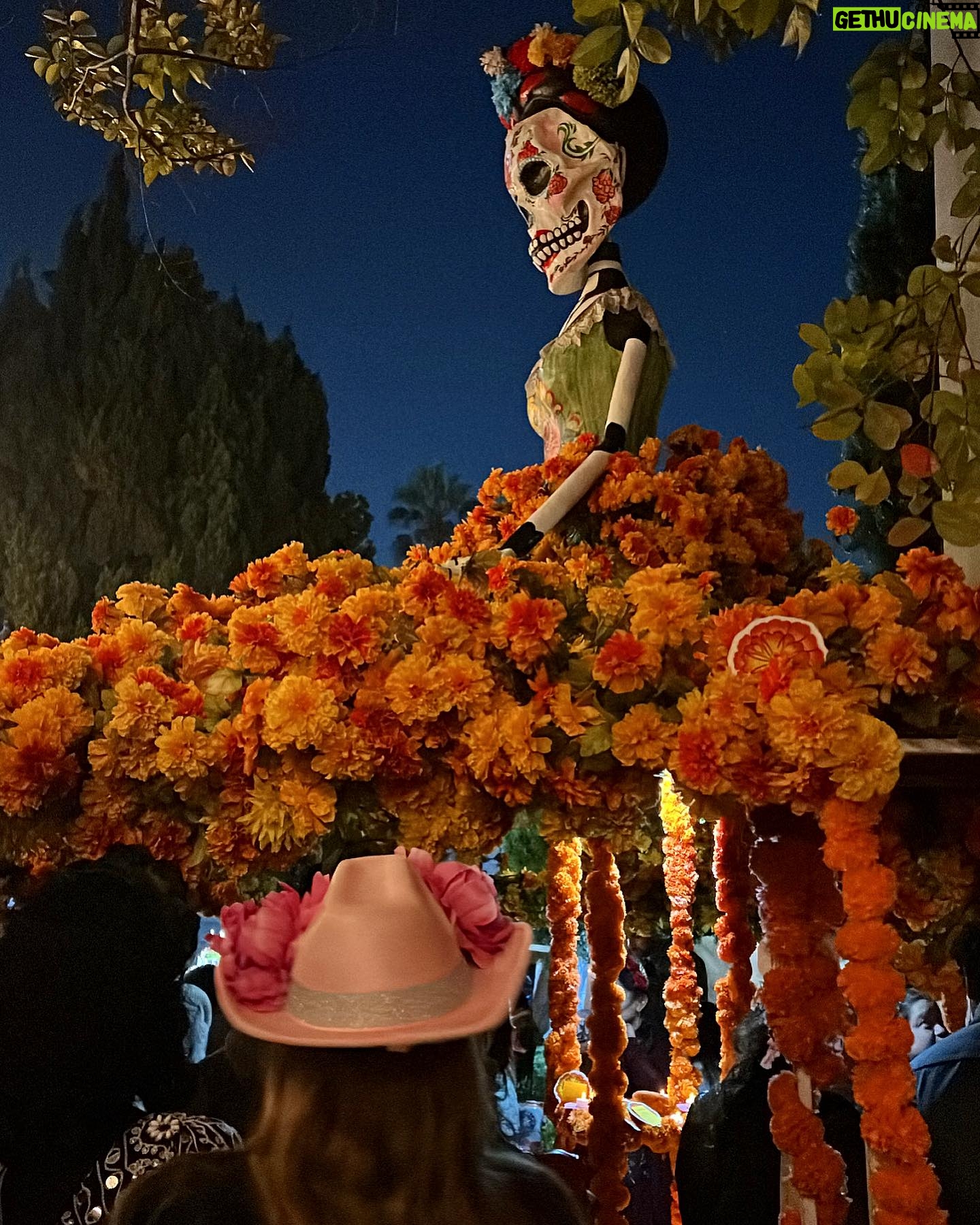 Andrea Londo Instagram - Día de los Muertos 💀🌼🕯️🦋