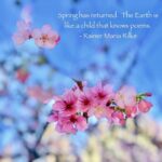 Andrea Parker Instagram - Happy #Spring 🐇🌸☔️🍄🐣💕