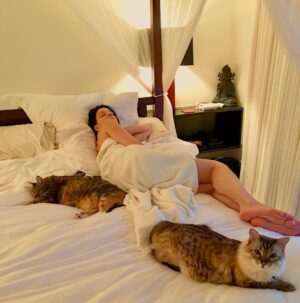 Andrea Parker Instagram - #iwokeuplikethis 
#HappyNationalCatDay😻

Have a great #Caturday everyone!