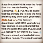 Andrea Parker Instagram - 🙏🏼 #SocalFires #CaliforniaWildfires #LAFires #Ventura #SantaPaula #SantaClarita #Animals 💔