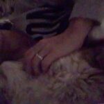 Andrea Parker Instagram - Happy #Caturday from me & #HenryG 😻 Yes, I sleep in my #Emison sweat shirt sometimes 😹