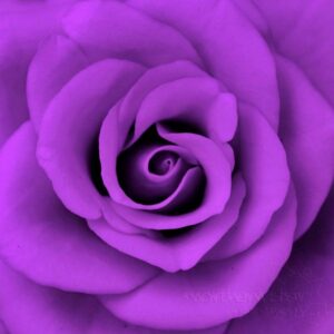 Andrea Parker Instagram - In a purple frame of mind...#ripprince💜