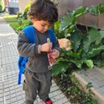Andrea Quattrocchi Instagram - Bruno esperando para ir a lo de su abuela aprovechando que salio el🌞♥️ y secuencia exacta de cuando descubrio lo que llevaba para acompañar su meriendita y tomó ahi mismo🤣😅 @kampito.py