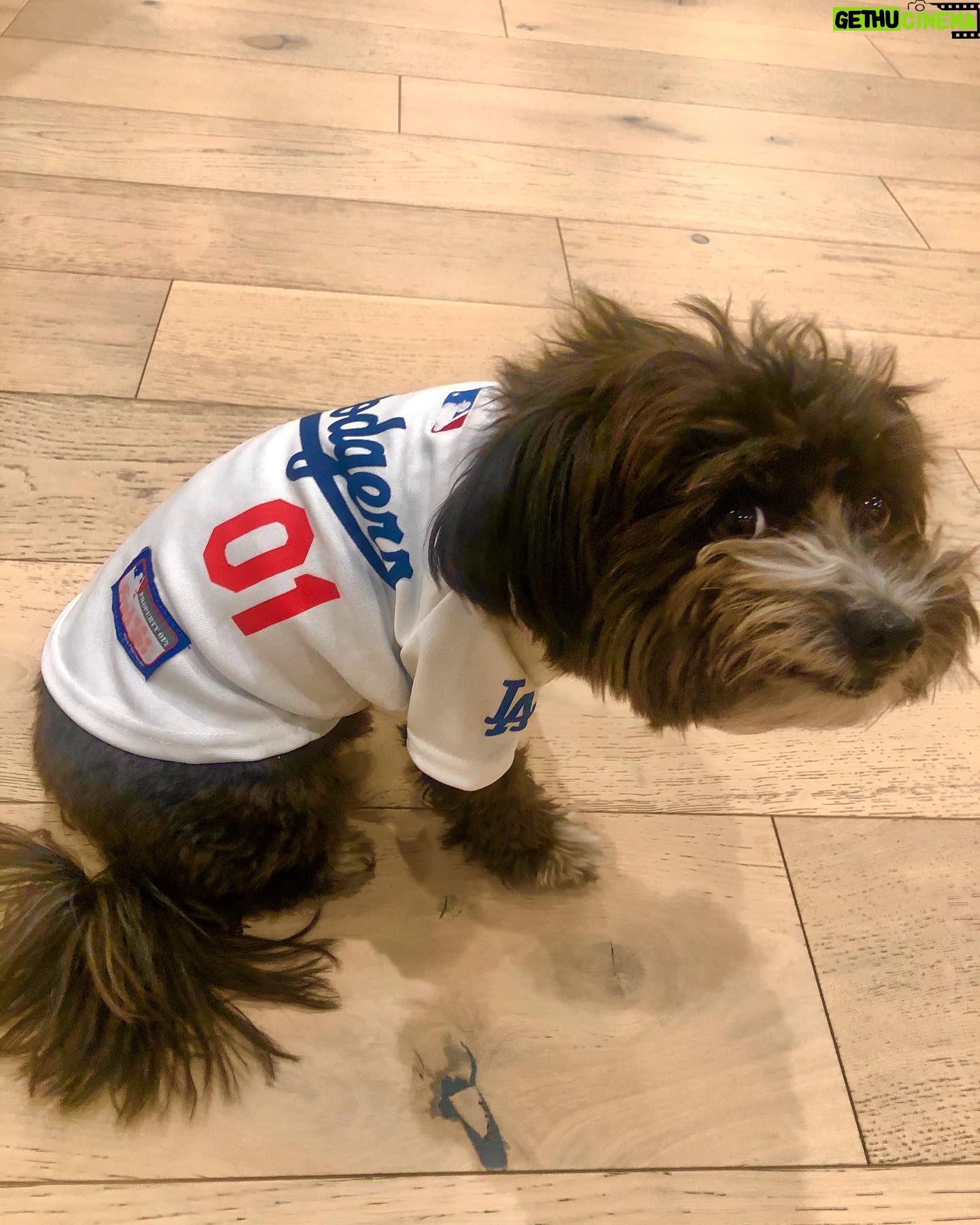 Andrea Savage Instagram - Happy 3 year (!!) adoption day to my sweet weirdo Fred. 😍😍