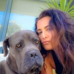 Andreia Dinis Instagram – 6 meses. Meio ano sem o nosso patudo. Tantas saudades 😢

#thor #mypuppie #missyou #canecorso
