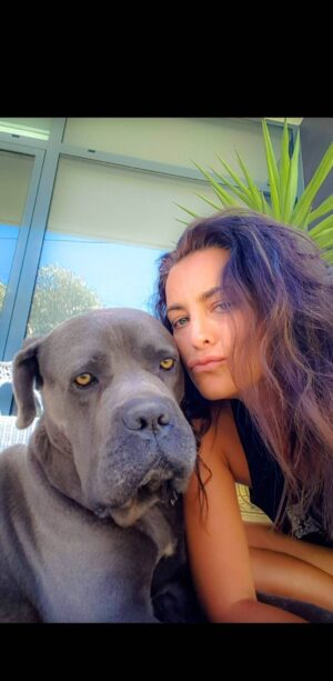 Andreia Dinis Instagram - 6 meses. Meio ano sem o nosso patudo. Tantas saudades 😢

#thor #mypuppie #missyou #canecorso