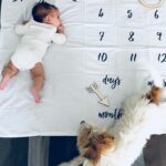 Andreia Rodrigues Instagram - ALICE! 6 anos! 6 anos daquele que é o maior amor de todos! 6 anos desde que também nasci, como mãe…pela primeira vez! 6 anos de uma enorme aprendizagem e descoberta! De tantas emoções e tantas cores! 6 anos a viver com o coração fora do peito! 6 anos de doçura, de tantas aventuras e conquistas! De um amor que é cada vez maior! ALICE! ❤️🩷